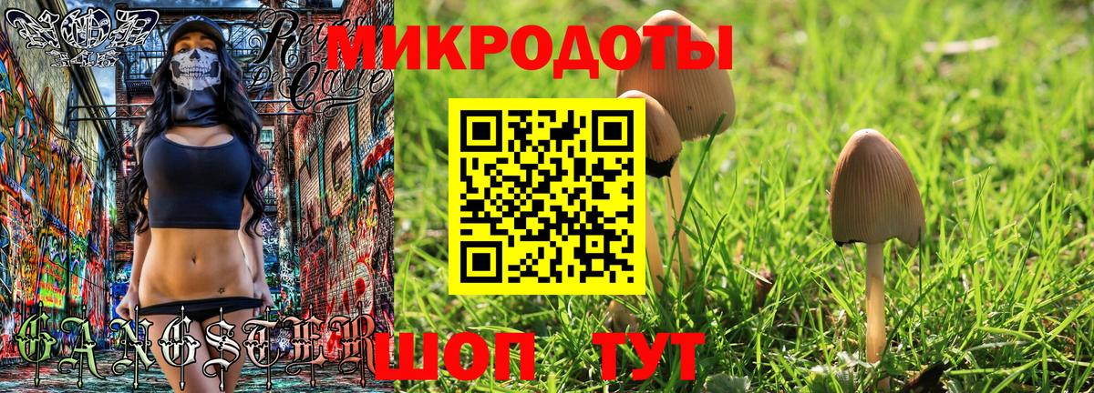 Галлюциногенные грибы прущие грибы Кудымкар